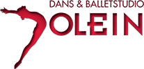 Logo van dansschool Jolein - gebruikt VreugdOnline